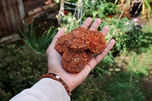 Build an Apple pulp Social Enterprise