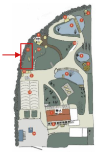 Edible Food Forest Project